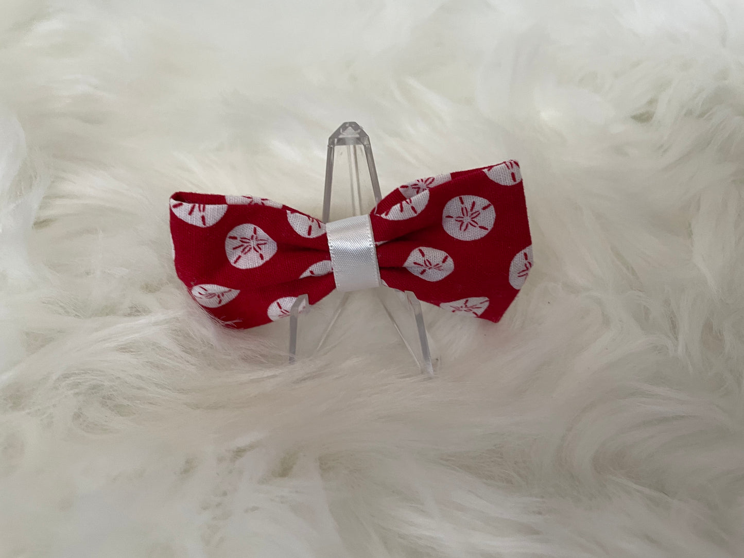 Red Sand Dollar - Bow