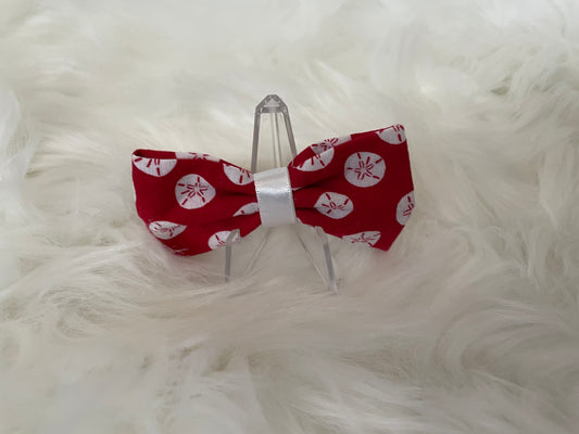 Red Sand Dollar - Bow