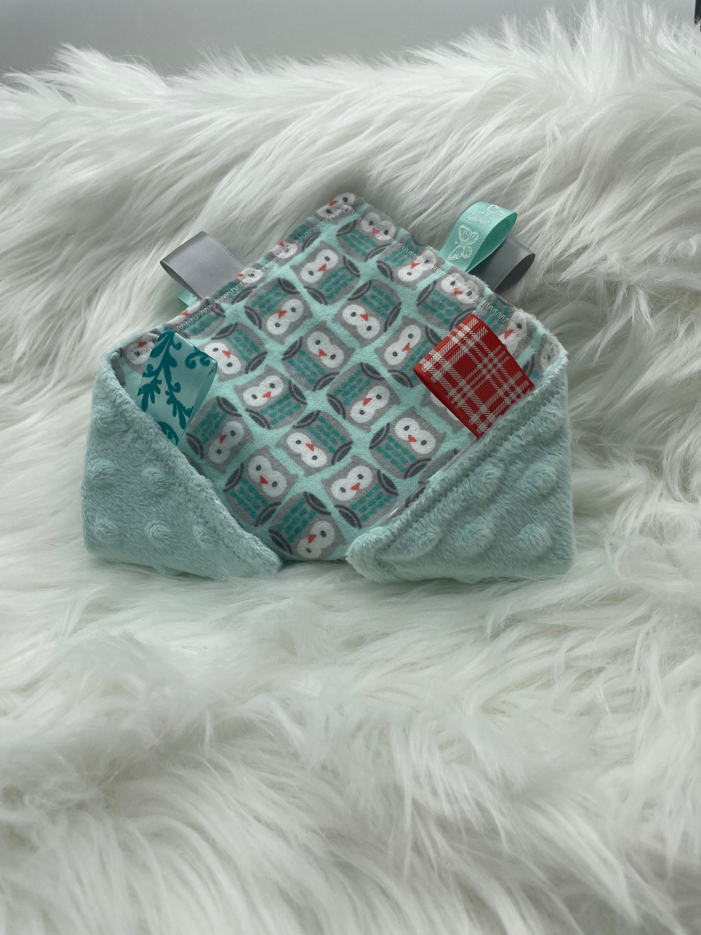 Teal Owls - Crinkle Tag Sensory